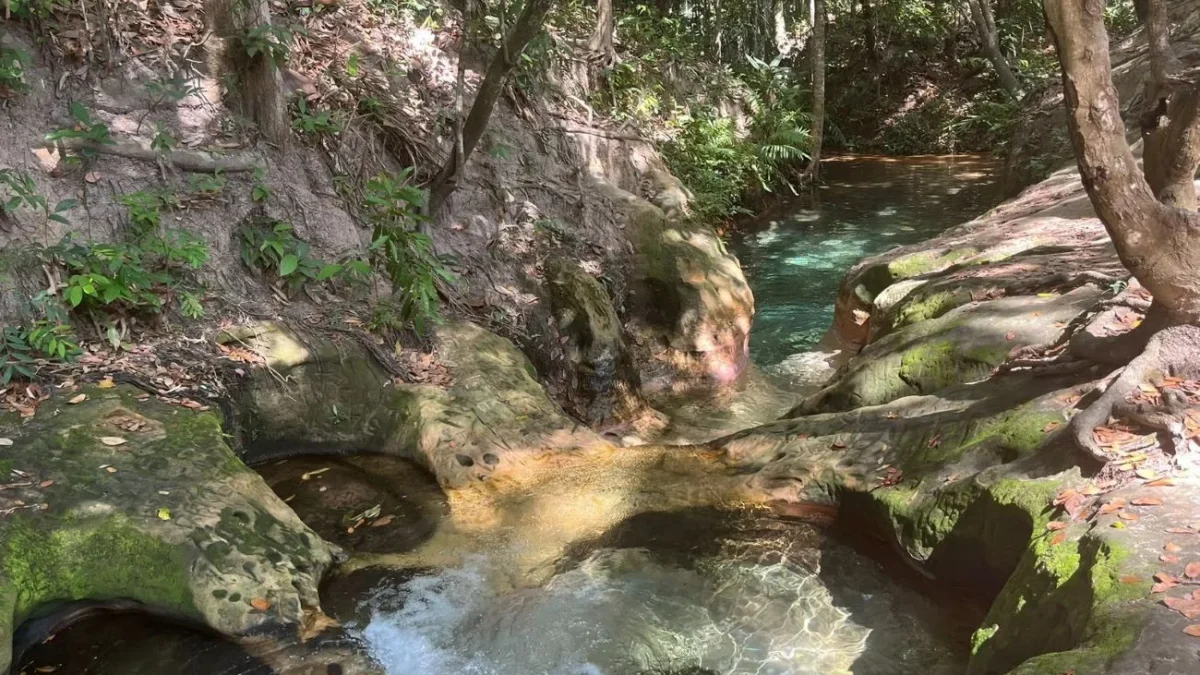 Rio cristalino vira refúgio e reacende alerta sobre água