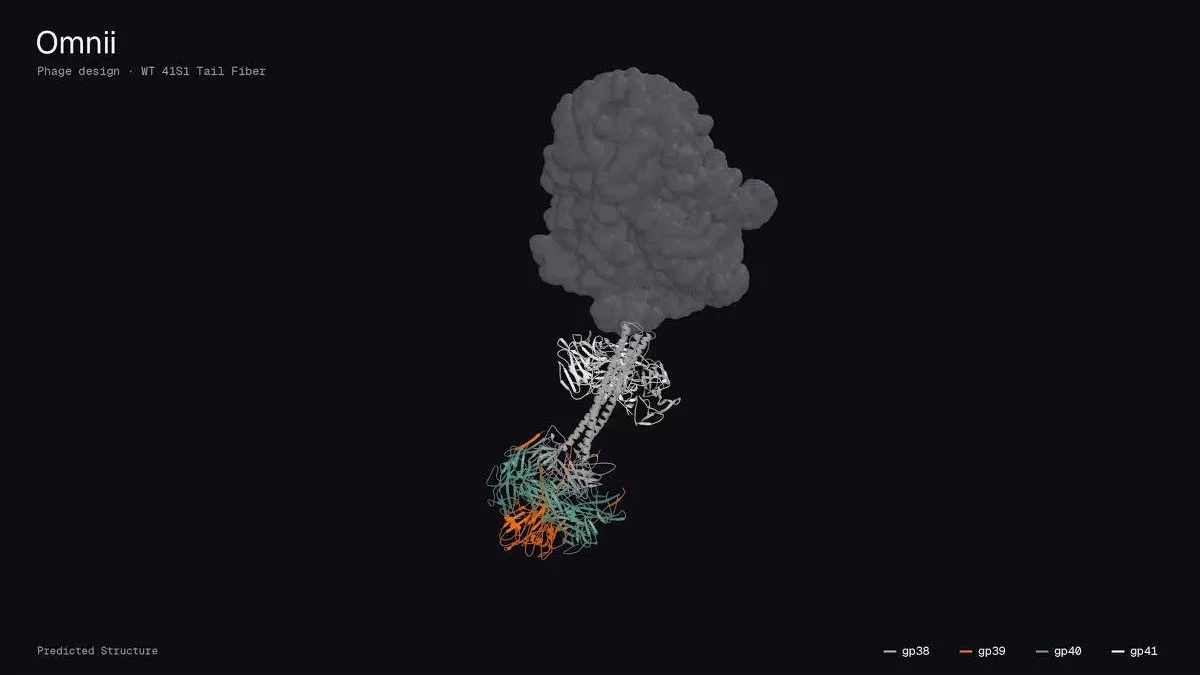 IA cria vírus que cura infecção mortal resistente em humano hoje