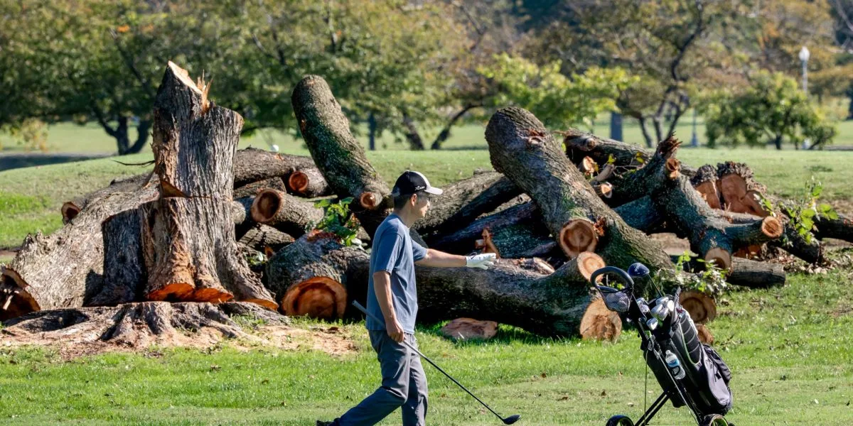 Trump anuncia fechamento de campo público em Washington
