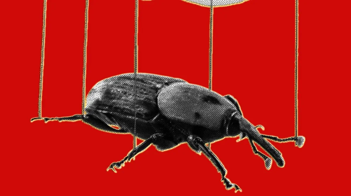 IA cria exploits e transforma falha antiga do PHP em crise hoje