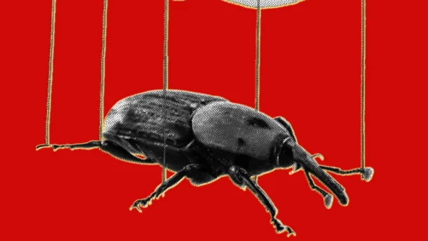 IA cria exploits e transforma falha antiga do PHP em crise hoje