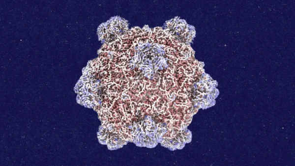 IA de Stanford cria esboços genéticos de vírus em nova pesquisa