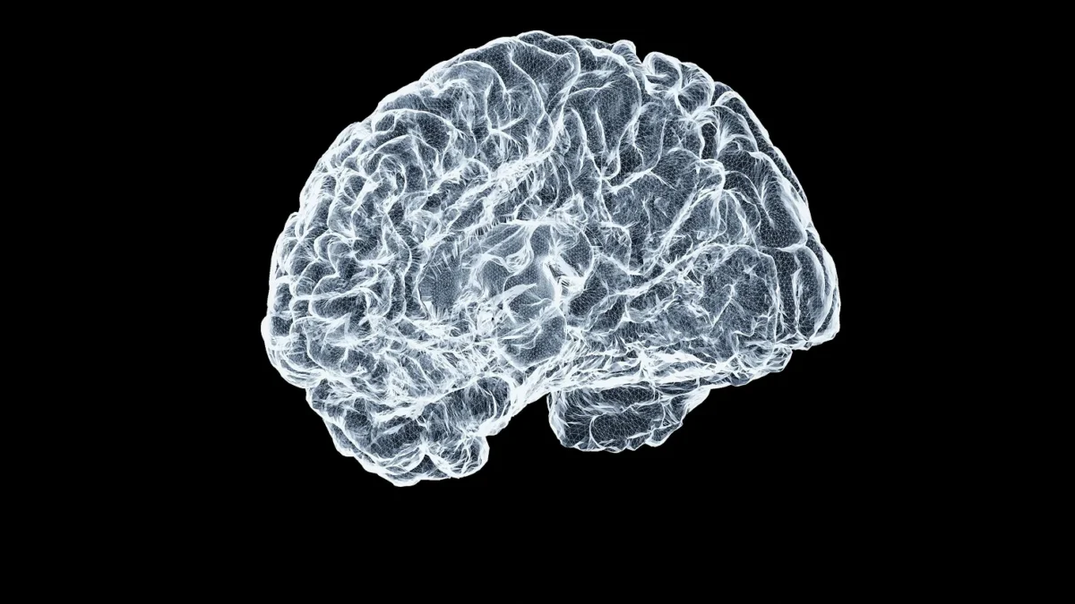 IA corta análise de Alzheimer de meses a minutos e acelera avanço