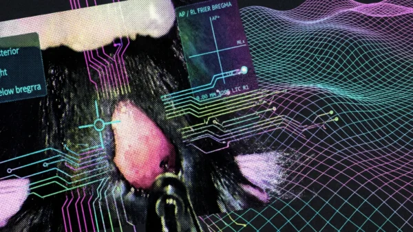 IA escolhe e aplica terapia gênica em camundongo com epilepsia