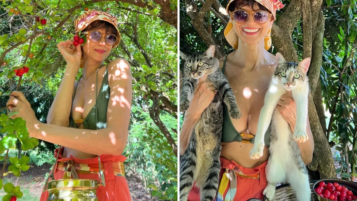 Morte de Karina Zeviani comove música brasileira