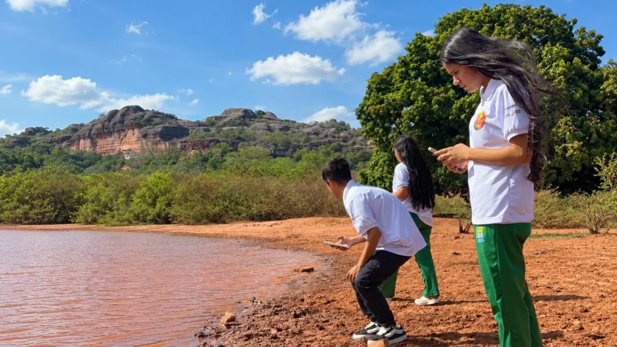 PolinizAI: alunos usam IA para mapear polinizadores no Piauí