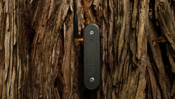 Startup cria IA que “ouve” plantas e capta sede em tempo real