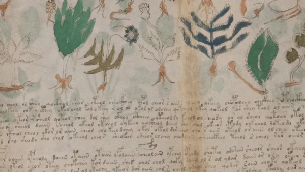 Manuscrito Voynich: IA tenta decifrar texto antigo e misterioso