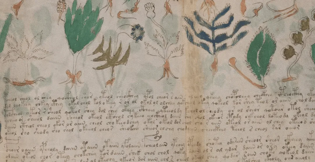 Manuscrito Voynich: IA tenta decifrar texto antigo e misterioso